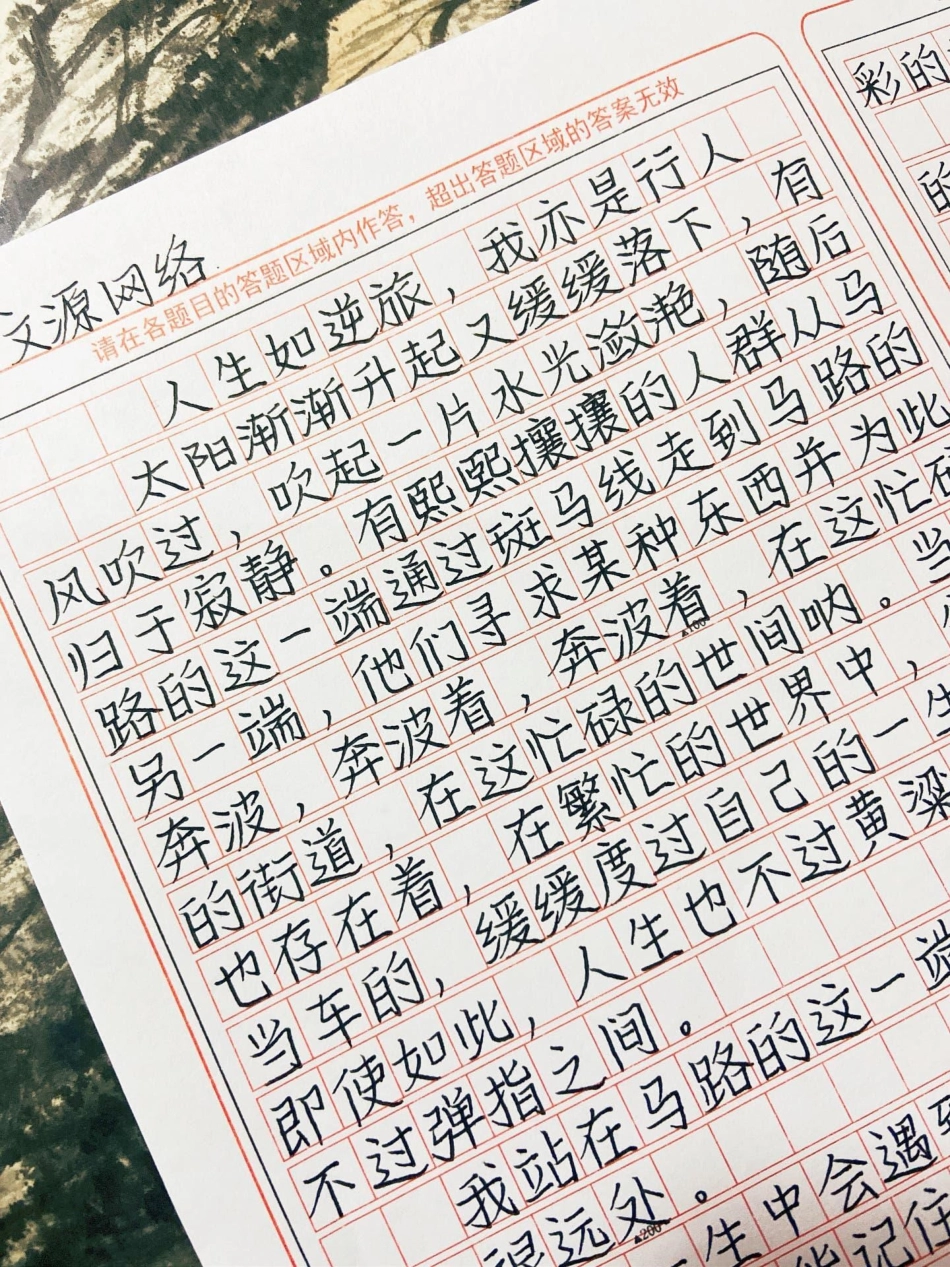优秀作文《人生如逆旅，我亦是行人》作文.pdf_第1页