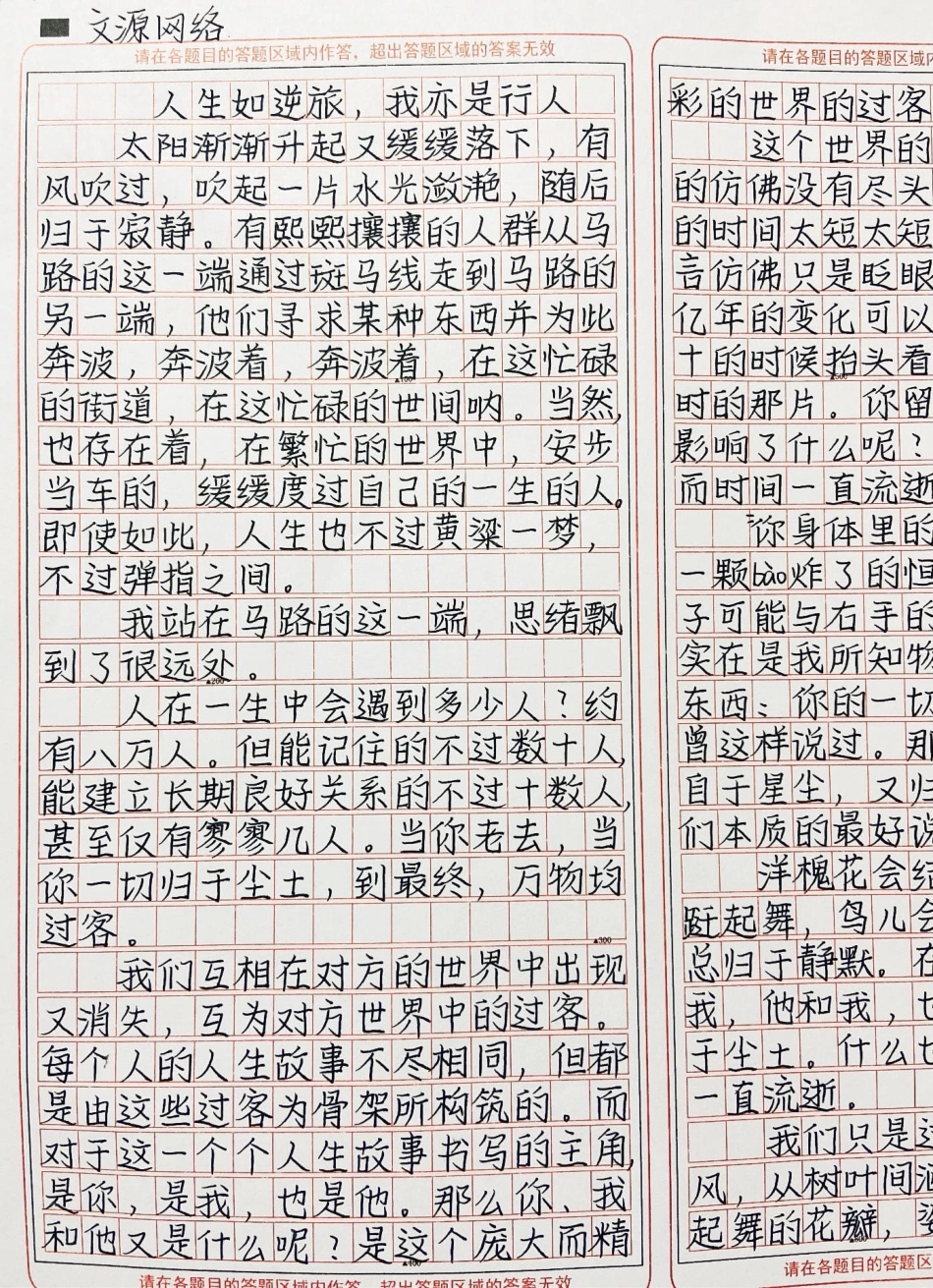 优秀作文《人生如逆旅，我亦是行人》作文.pdf_第2页