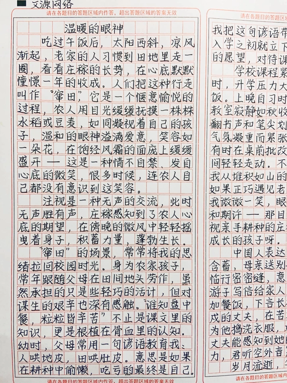 优秀作文《温暖的眼神》作文.pdf_第2页