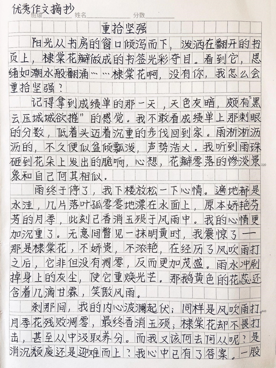 优秀作文《重拾坚强》阳光下的棣棠花瓣无声地闪耀着光泽，轻抚书签，我将那璀璨的光辉收心心底，棣棠花啊，感谢你让我重拾坚强，有你陪伴，我必将乘风破浪，奥往直前!作文.pdf_第1页