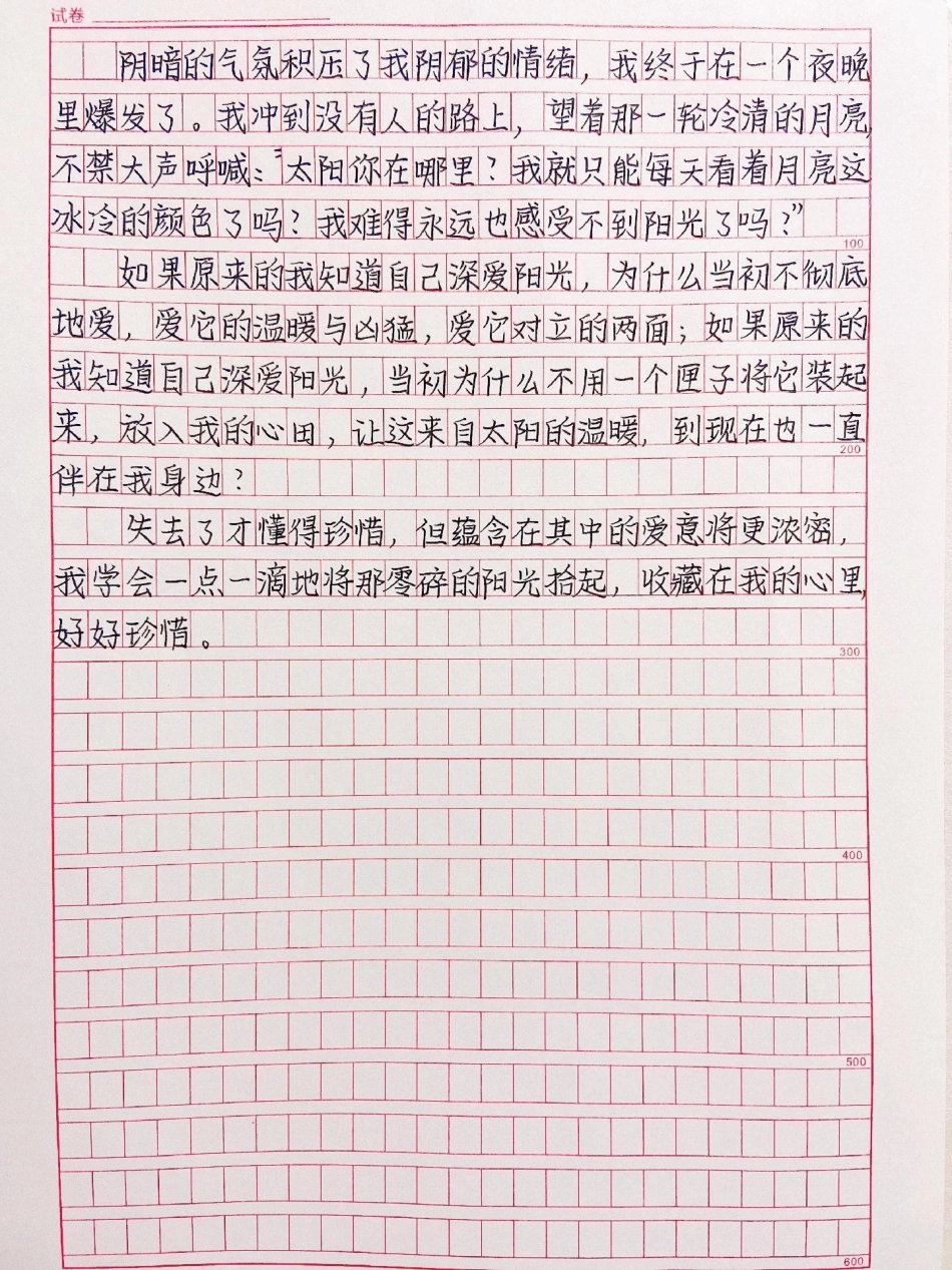 优秀作文手写摘抄《阳光》作文.pdf_第2页