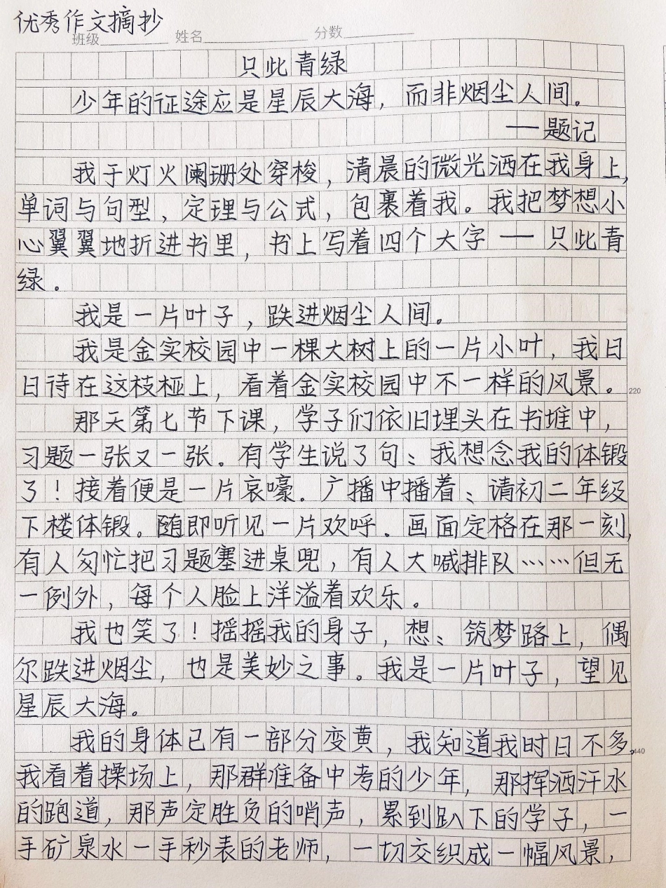 这篇作文好绝《只此青绿》少年的征途应是星辰大海，而非烟尘人间。少年，只此青绿，筑梦，只此一次作文.pdf_第1页