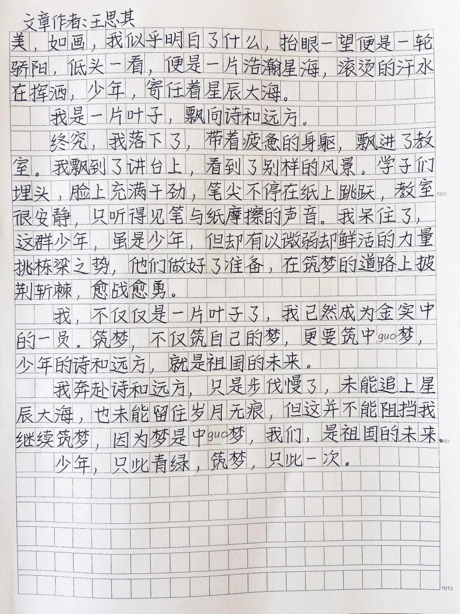 这篇作文好绝《只此青绿》少年的征途应是星辰大海，而非烟尘人间。少年，只此青绿，筑梦，只此一次作文.pdf_第2页