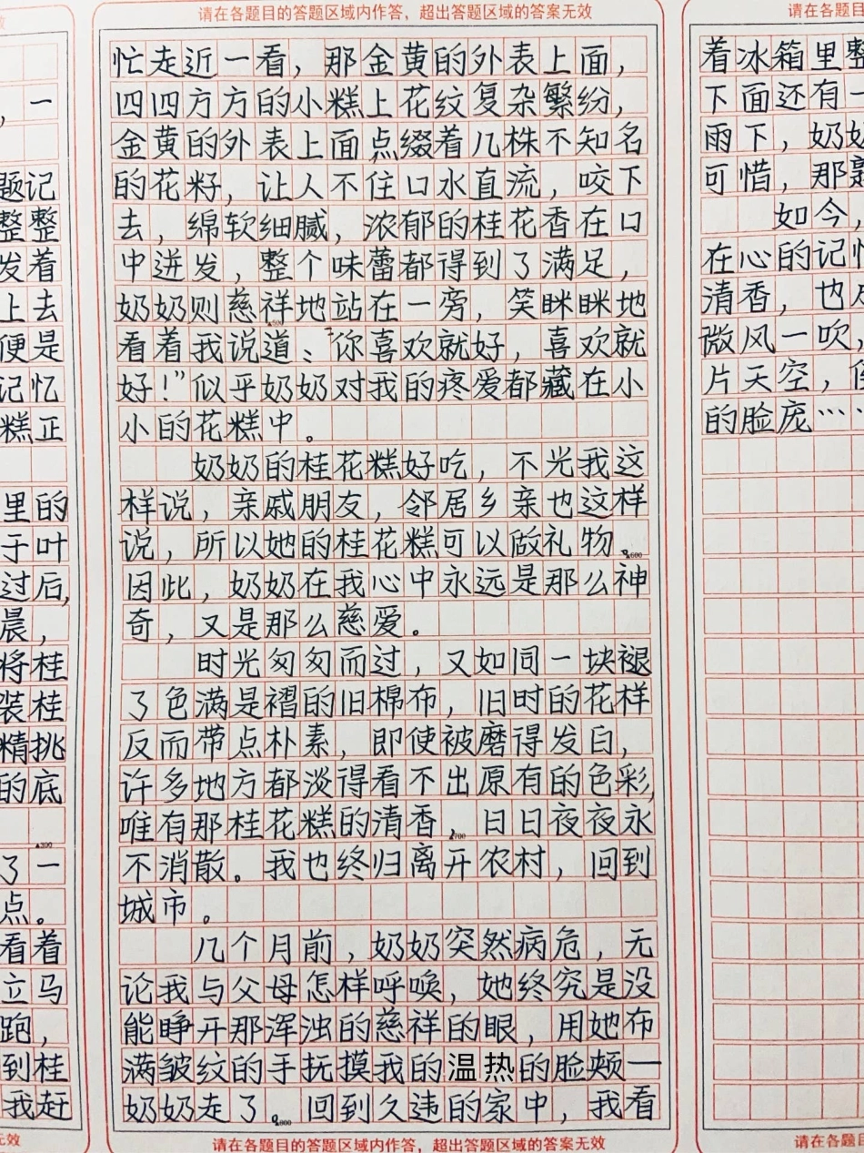 作文《藏在心底的味道》一簇花，一碗糕，一个人，一段情作文.pdf_第2页