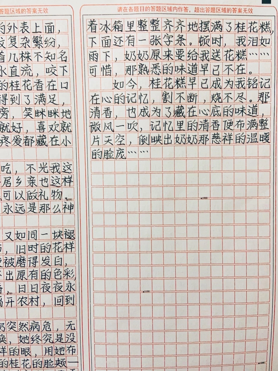 作文《藏在心底的味道》一簇花，一碗糕，一个人，一段情作文.pdf_第3页