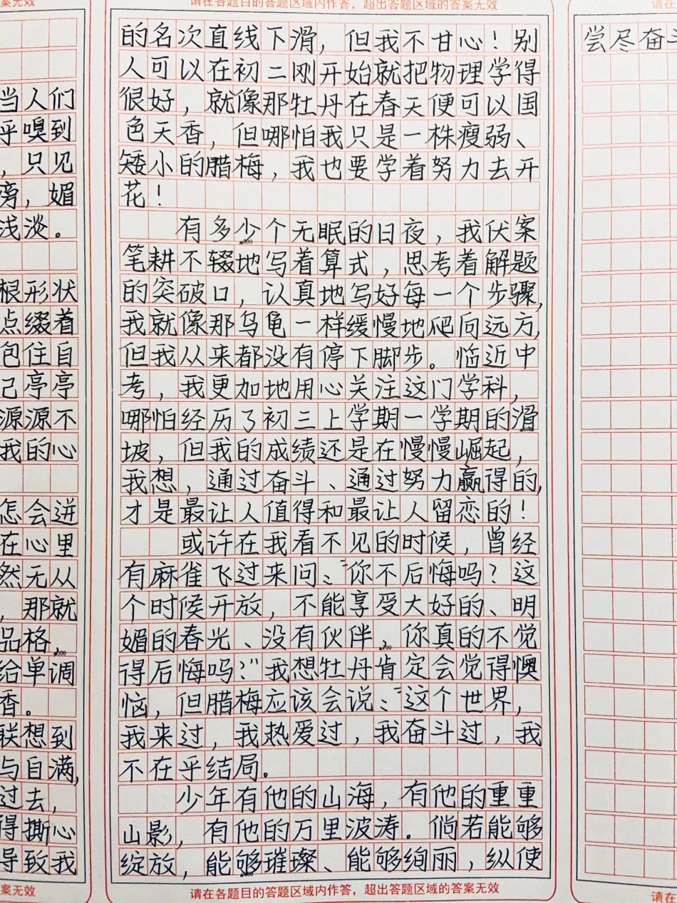 作文《梅花香自苦寒来》少年有他的山海，有他的重重山影，有他的万里波涛。倘若能够绽放，能够璀璨、能够绚丽，纵使尝尽奋斗的苦楚，也无怨悔作文.pdf_第3页