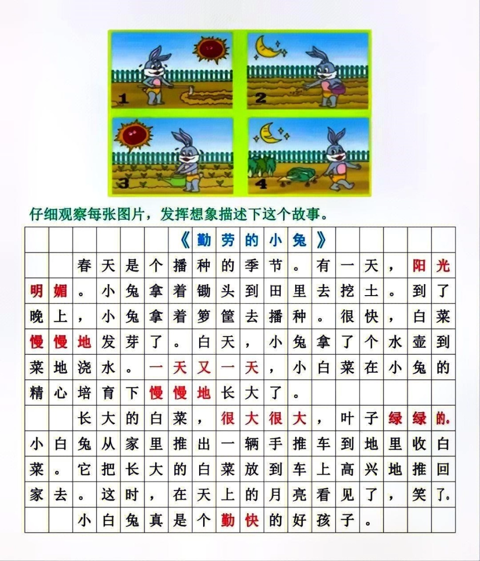 二年级必考看图写话大全 知识分享 教育  知识点总结.pdf_第1页