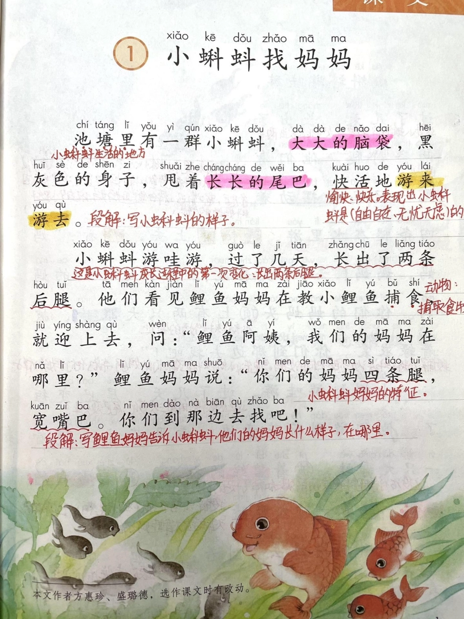 二年级上册第一课，小蝌蚪找妈妈。小学语文 育儿 每天跟我涨知识  二年级.pdf_第1页