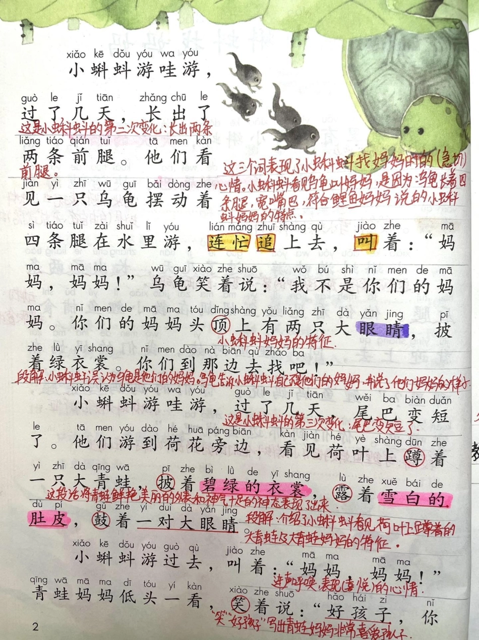 二年级上册第一课，小蝌蚪找妈妈。小学语文 育儿 每天跟我涨知识  二年级.pdf_第2页