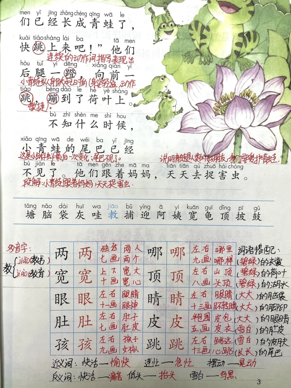 二年级上册第一课，小蝌蚪找妈妈。小学语文 育儿 每天跟我涨知识  二年级.pdf_第3页