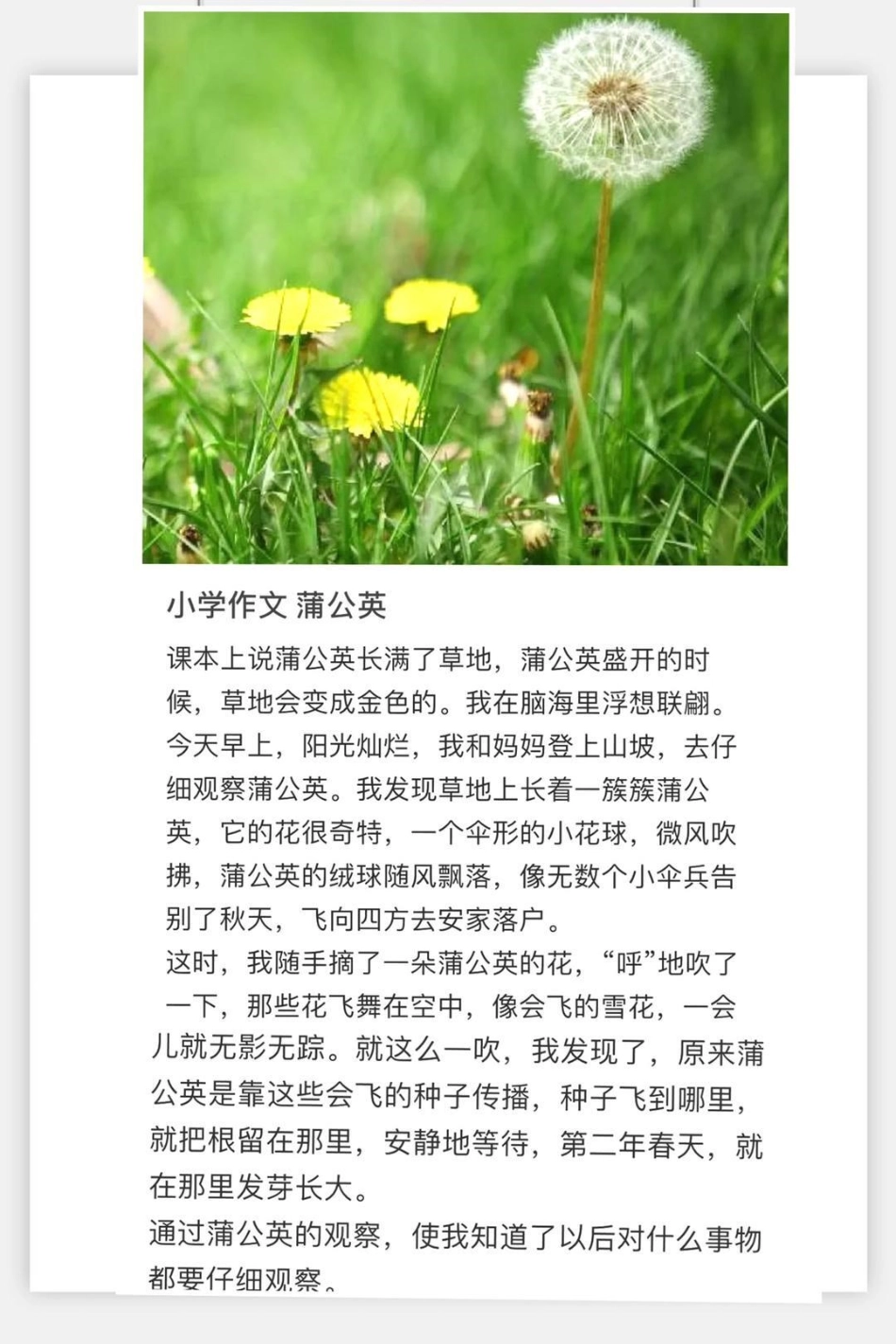 一年级 二年级 作文 潮流东方季  小学语文 知识点总结.pdf_第1页