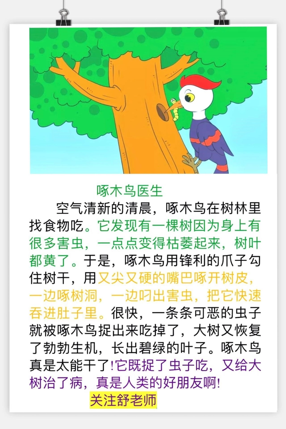 一年级二年级女王的心愿好礼 家庭教育 读书 小学语文 好书分享 每日推文.pdf_第2页