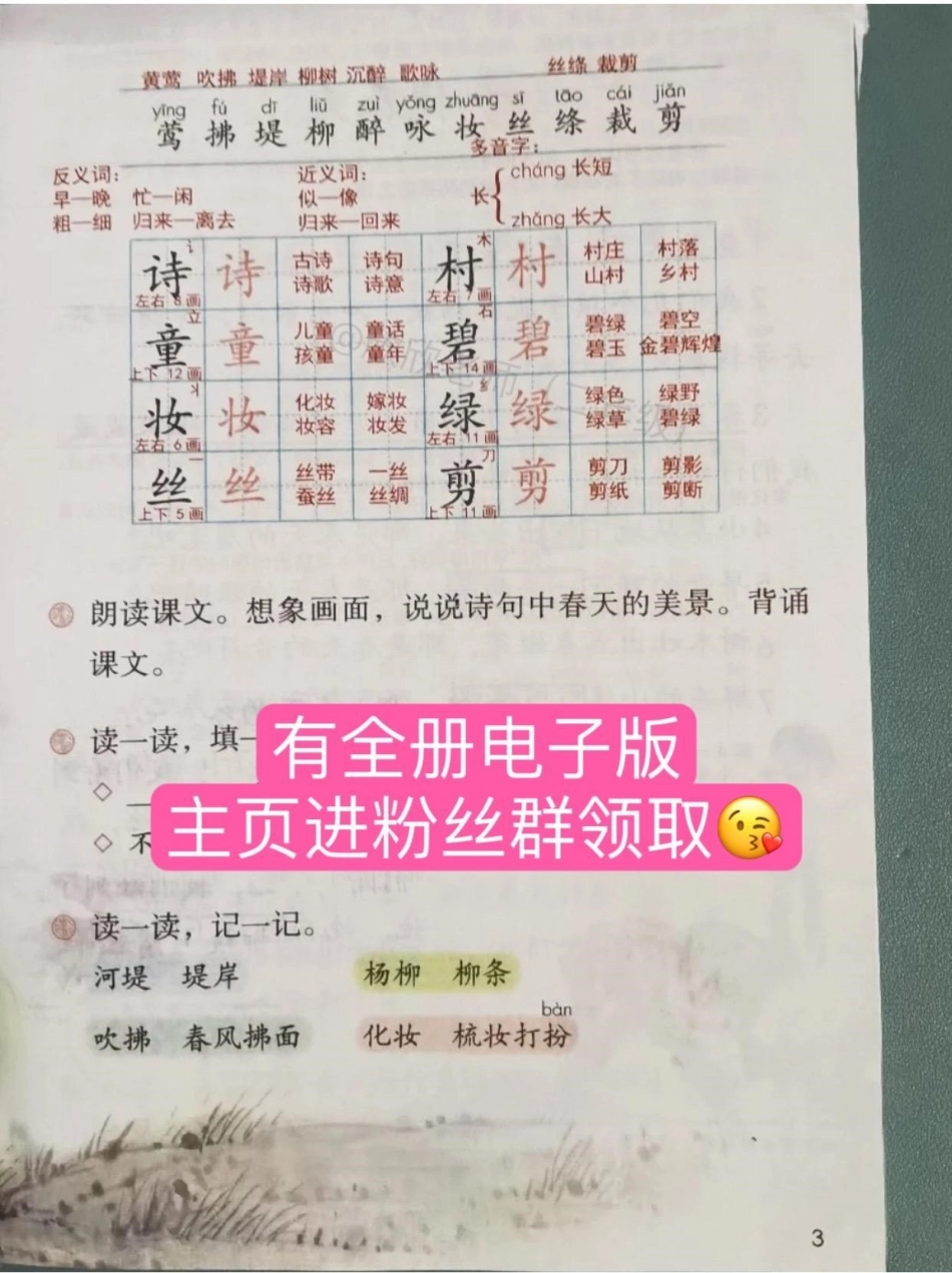 二年级语文下册 课堂笔记。寒假充电计划 预习 二年级语文 二年级.pdf_第3页