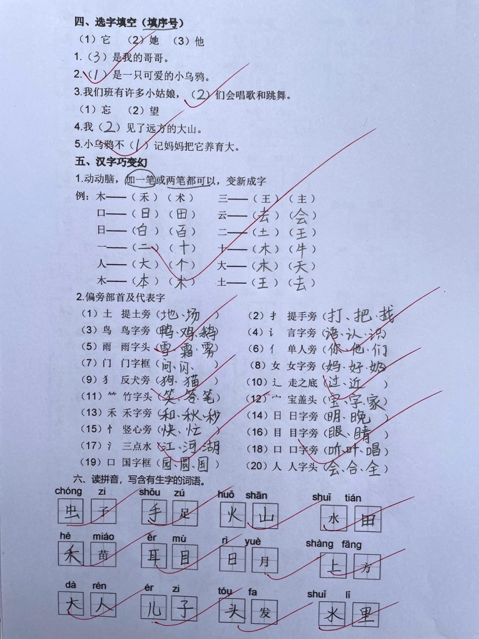 一年级上册语文《生字 字词专项训练》一年级教育 知识分享 育儿 干货.pdf_第2页