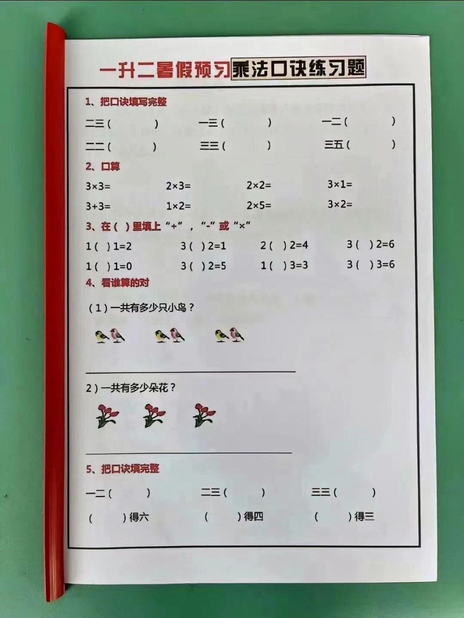 一年级升二年级（一升二）暑假数学作业全册。一升二暑假数学作业全册 利用暑假期间 给孩子提前预习充电赢在起跑线暑假作业 一升二 暑假充电计划 暑假预习 一升二暑假安排.pdf_第2页