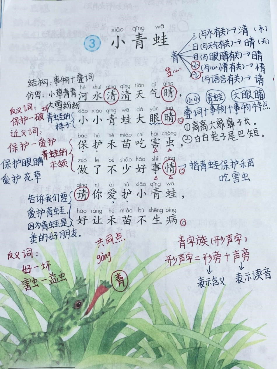 一年级下册语文第三课重点笔记。知识分享 干货 教育 家庭教育 创作灵感.pdf_第1页