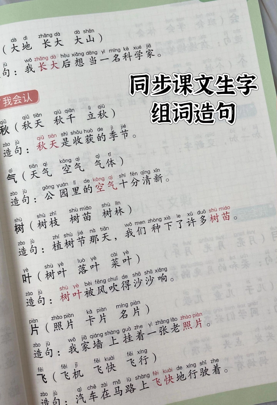 一年级语文同步课文生字组词造句本。仿写句子 语文 生字组词造句 同步生字 字词积累.pdf_第3页