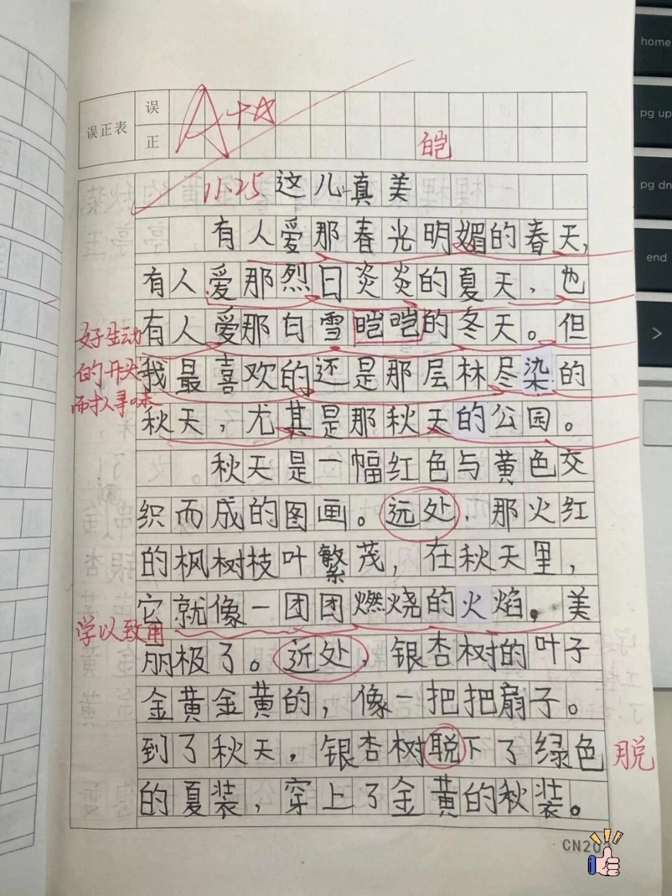 三年级第六单元优秀作文《这儿真美》知识分享 三年级 学习 作文 教育.pdf_第1页