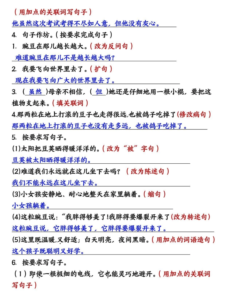 四年级上册语文第二单元句式转换专项训练。四年级 四年级上册语文 四年级语文 小学语文 小学语文知识点.pdf_第2页