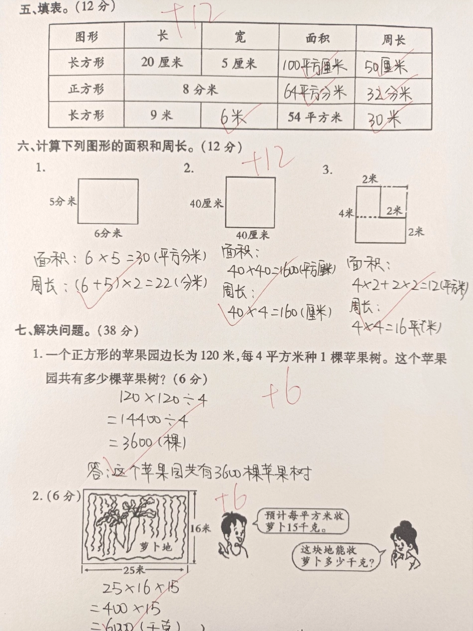 三年级数学下册期末复习图形面积专项训练。家长替孩子收藏打印一份，吃透面积相关问题，考试拿高分三年级 三年级数学 三年级数学下册 三年级数学重点难点.pdf_第3页