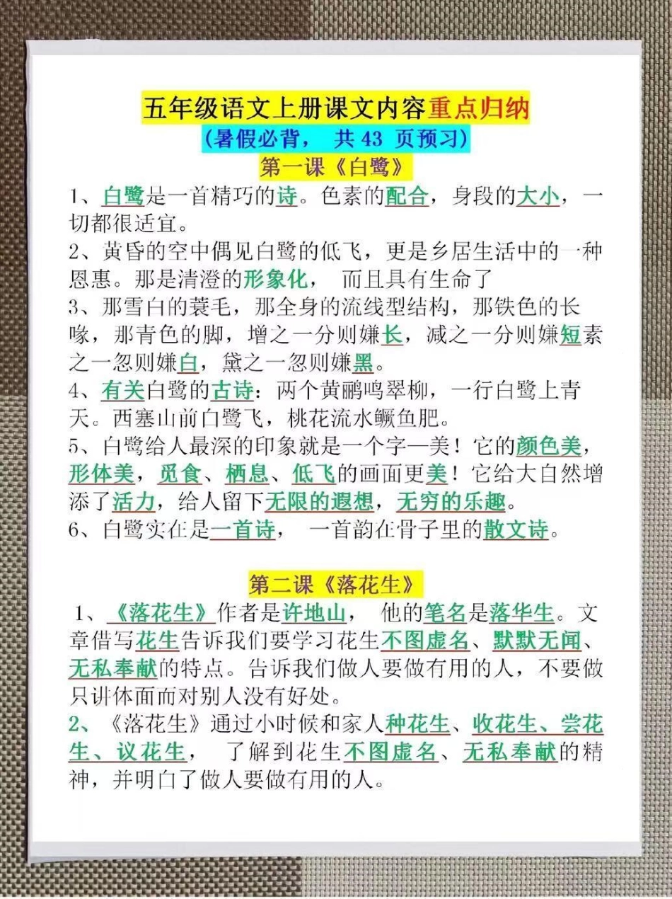 小学四升五年级语文上册知识点汇总。整理了一份小学四升五年级语文上册知识点汇总。暑假必背！家长给孩子打印一份出来学习，都是考试常考常出题，完整版可打印，快给孩子打印一份出来学习吧！四升五 暑假预习 知识.pdf_第1页