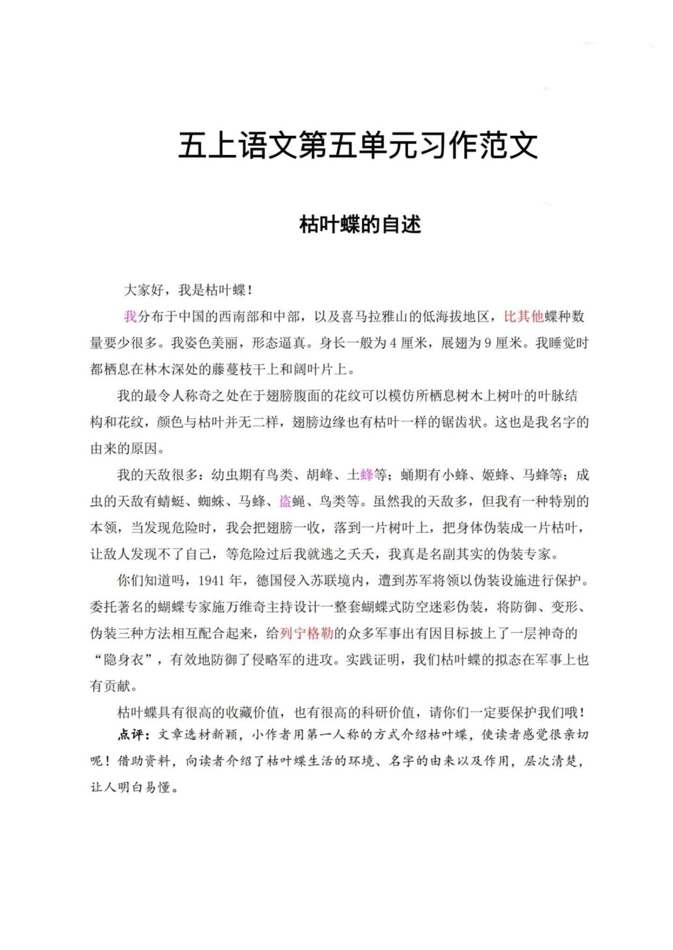 五年级上册语文第五单元习作范文五年级上册语文 语文第五单元 单元习作 单元习作范文 第五单元习作.pdf_第2页