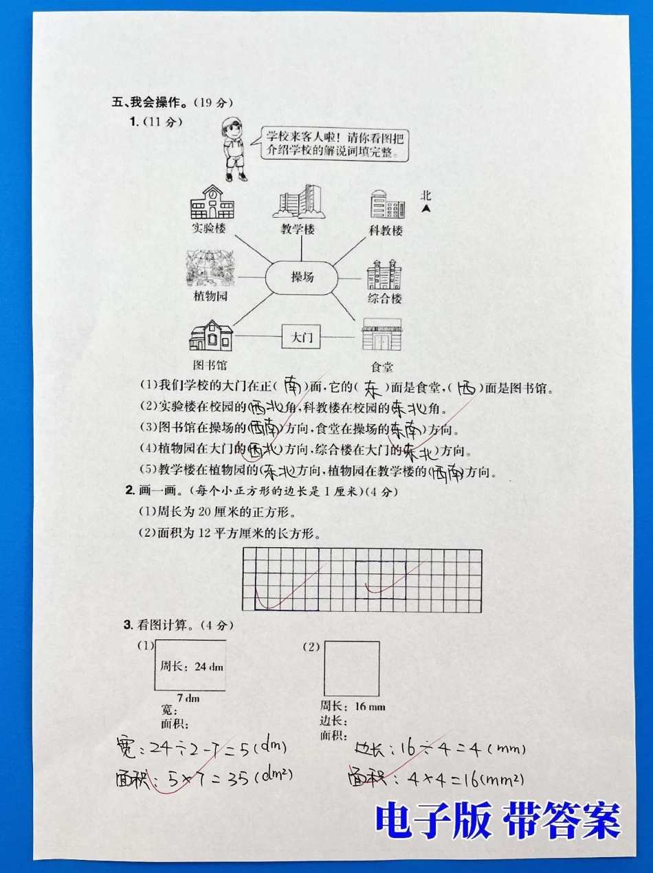 三年级下册数学位置与方向和面积专项训练。都是各校历届常考真题，有空白版带答案三年级 三年级数学 三年级数学重点难点 小学数学.pdf_第3页