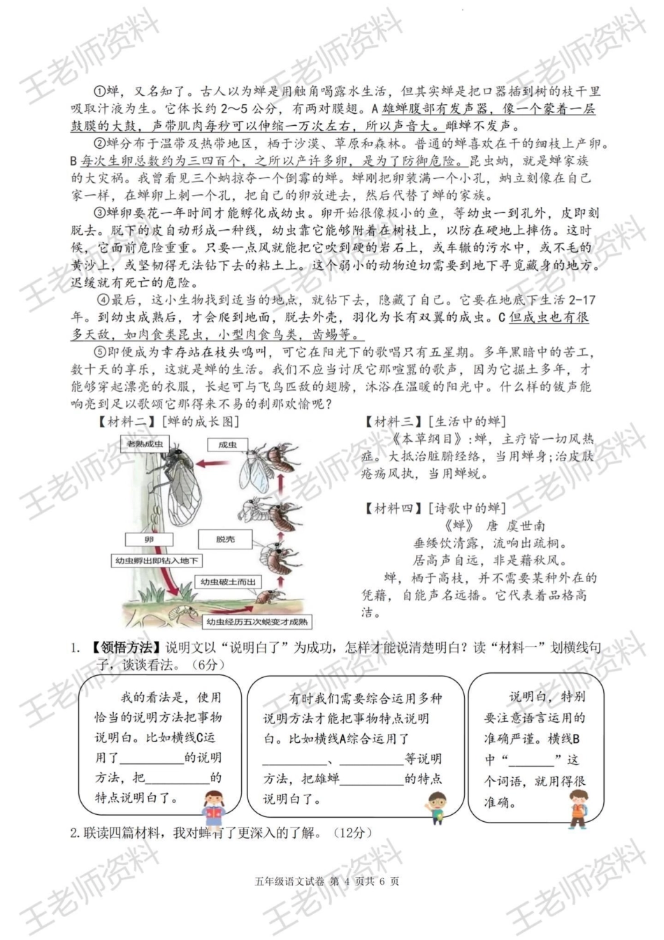 这套卷出的真好！五上语文期末大情境试卷！五年级上册语文 小学语文.pdf_第2页