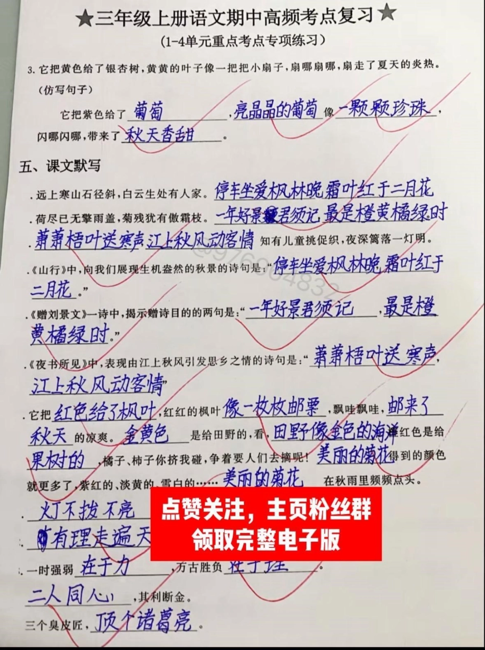 三年级语文上册期中高频考点复习。三年级 期中考试 三年级上册语文 必考考点 知识点总结.pdf_第3页