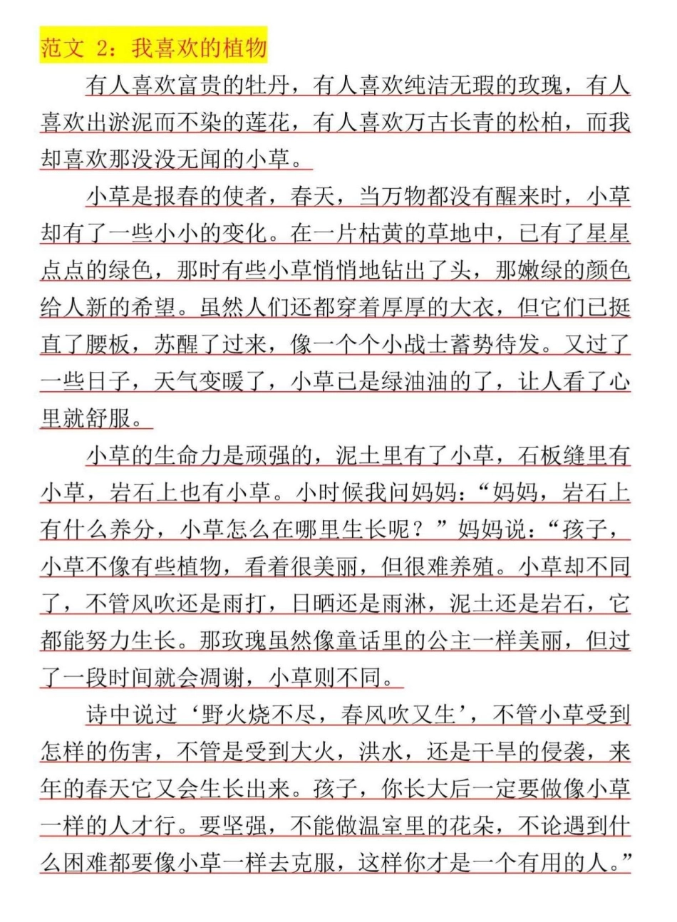 三年级语文下册第一单元习作。我的植物朋友范文，家长替孩子收藏打印，让孩子多读读增加语感三年级 三年级作文 三年级作文范文 小学作文 小学生作文.pdf_第2页