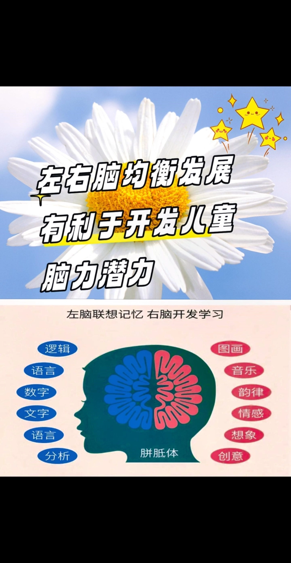 学前启蒙识字，开发儿童脑力潜力。图文掘金计划 宝妈们：人类左脑联想记忆，右脑开发学习。让宝宝拥有一本学前识字书。图文并茂，有声伴读，有利于开发儿童脑力潜力。，进步看得见！好书分享  启蒙早教 童书推荐.pdf_第1页