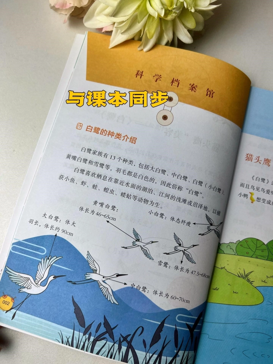 原来语文课本里有这么多的科学秘密，紧跟课本，跨学科学习好书分享 小学语文.pdf_第2页