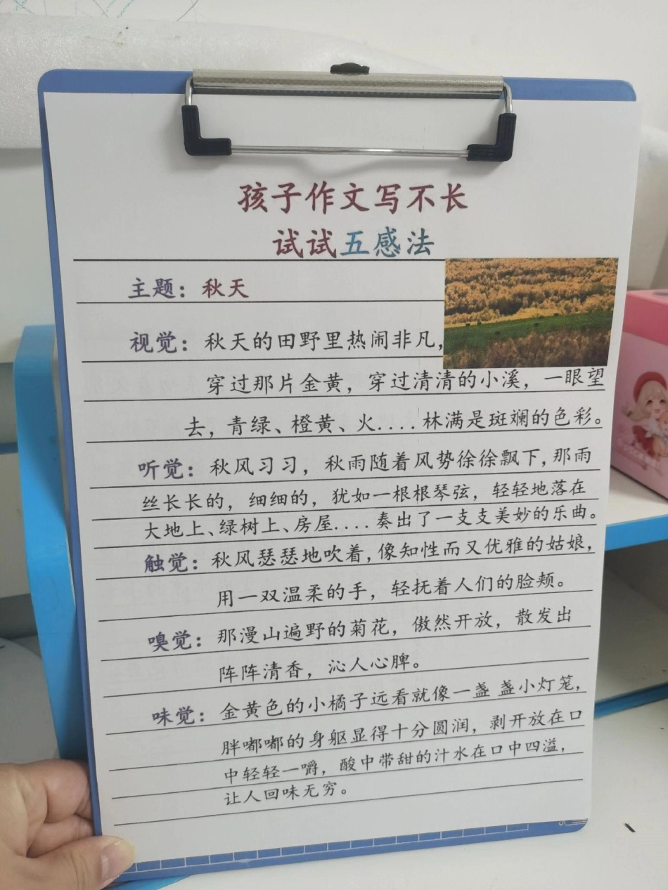 作文写不长，试试五感法。作文不会写，这套五感法写作用起来，每天晨读15分钟，作文不用愁！语文 如何写好作文 作文写作技巧 小学作文 小学作文技巧.pdf_第2页