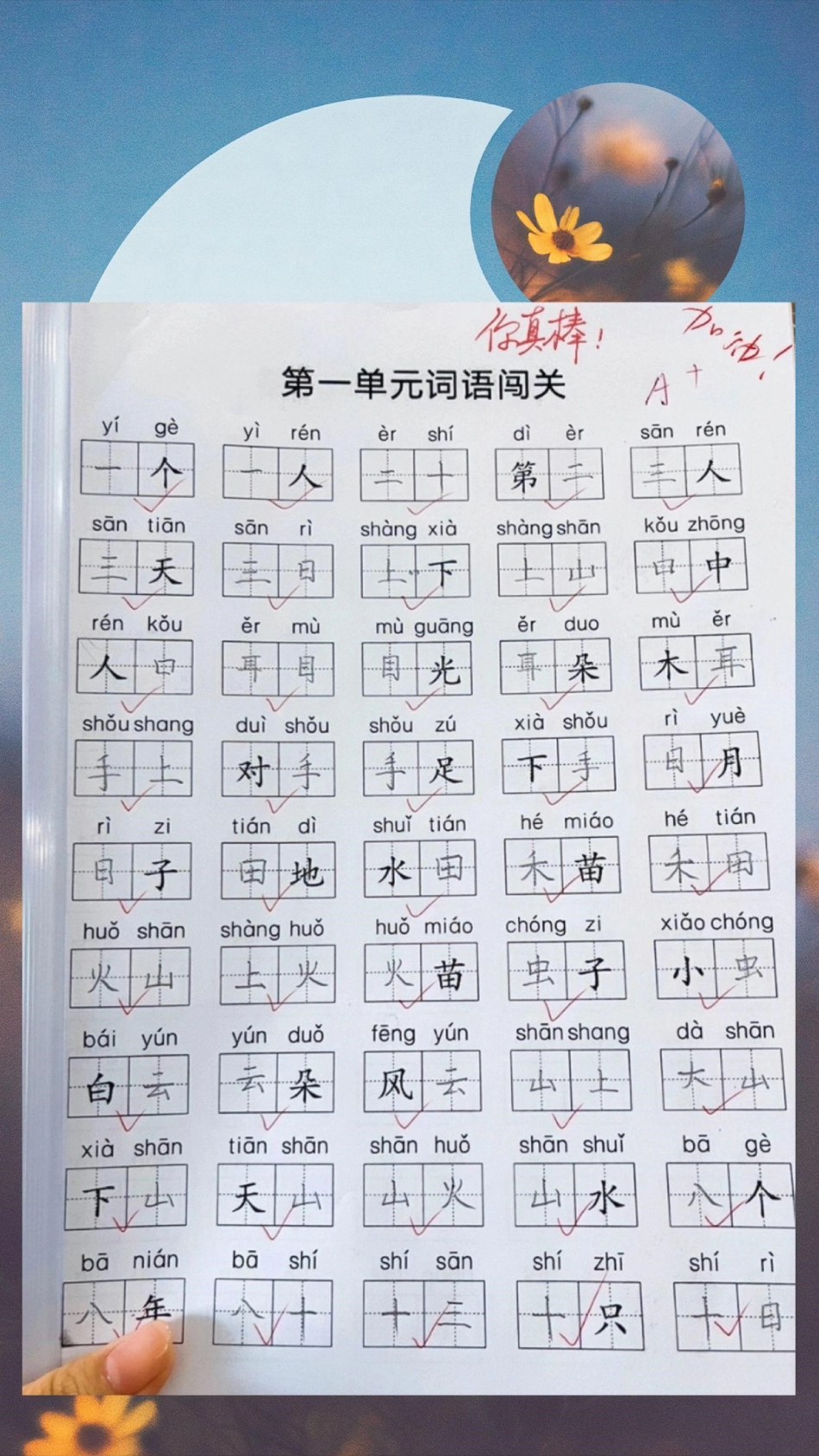 小学老师强烈推荐的高效生字拼音练习。图文掘金计划 小学老师强烈推荐的练习资料。吃透这一套拼音词语练习，期末考试不在话下！每天坚持练字 看拼音写词语技巧 小学语文 好书分享.pdf_第1页