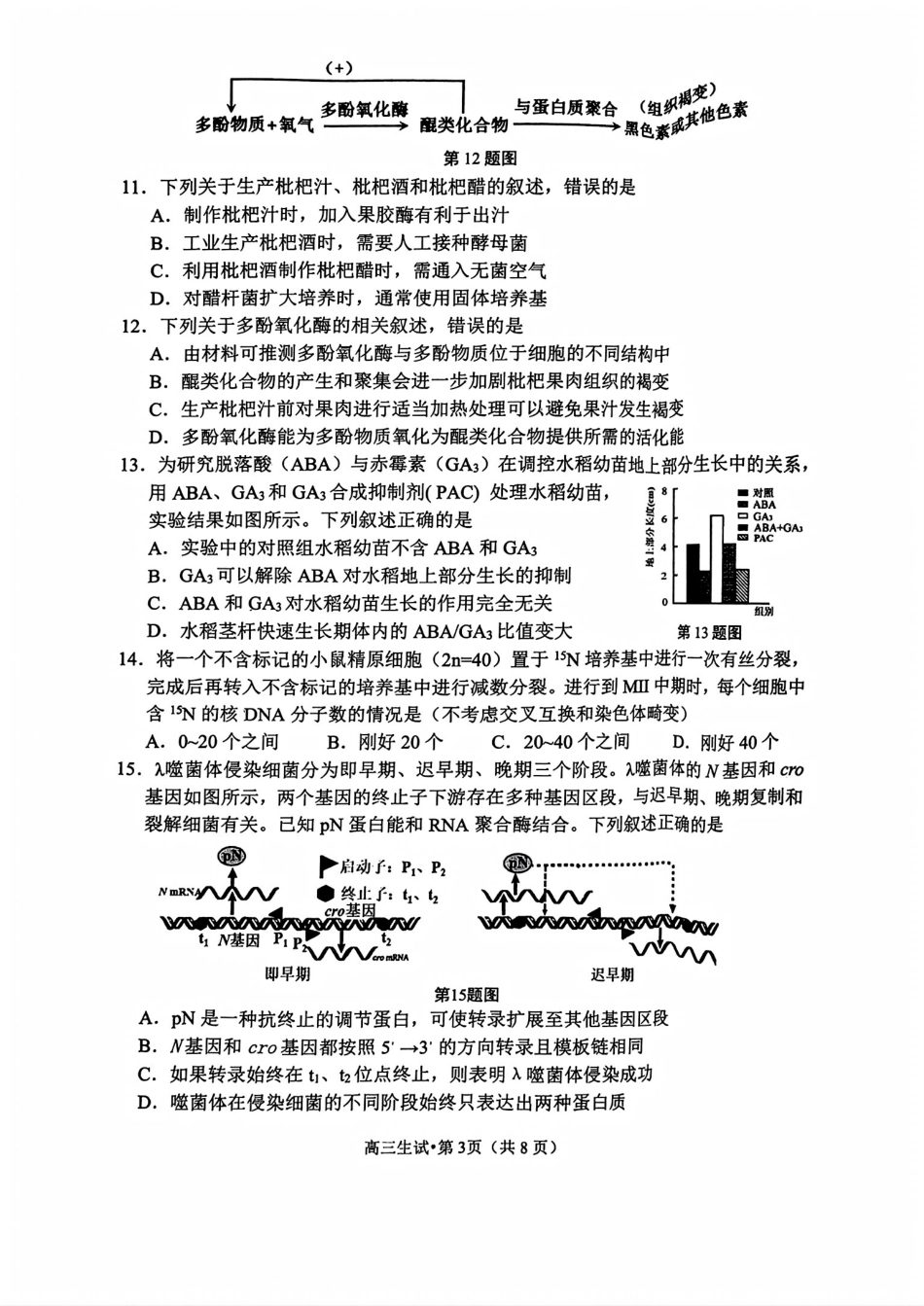 （杭州一模）2024学年第一学期杭州市高三年级11月质量检测生物试题含答案.pdf_第3页