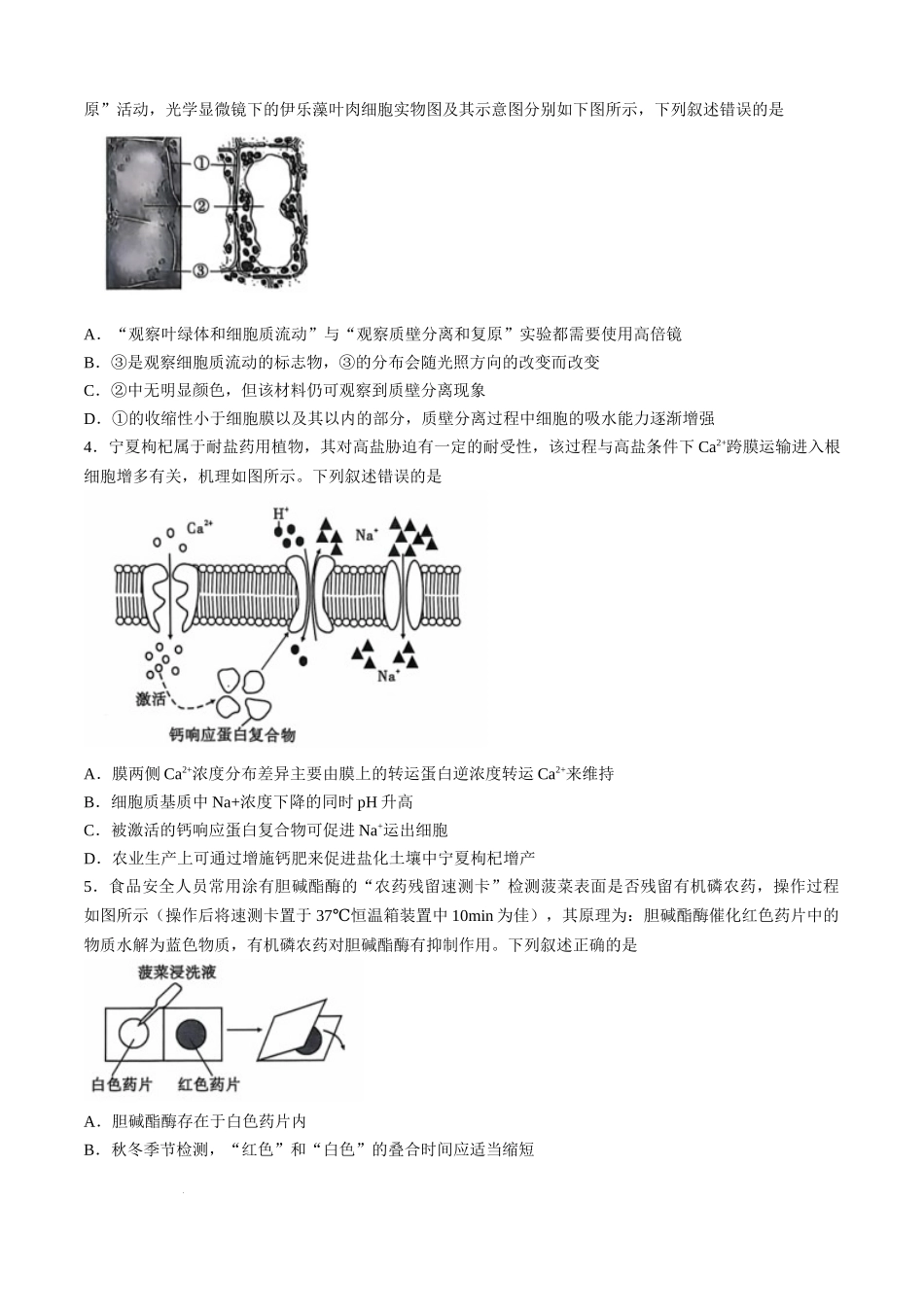 安徽江淮十校2025届高三第二次联考生物试题+答案.docx_第2页