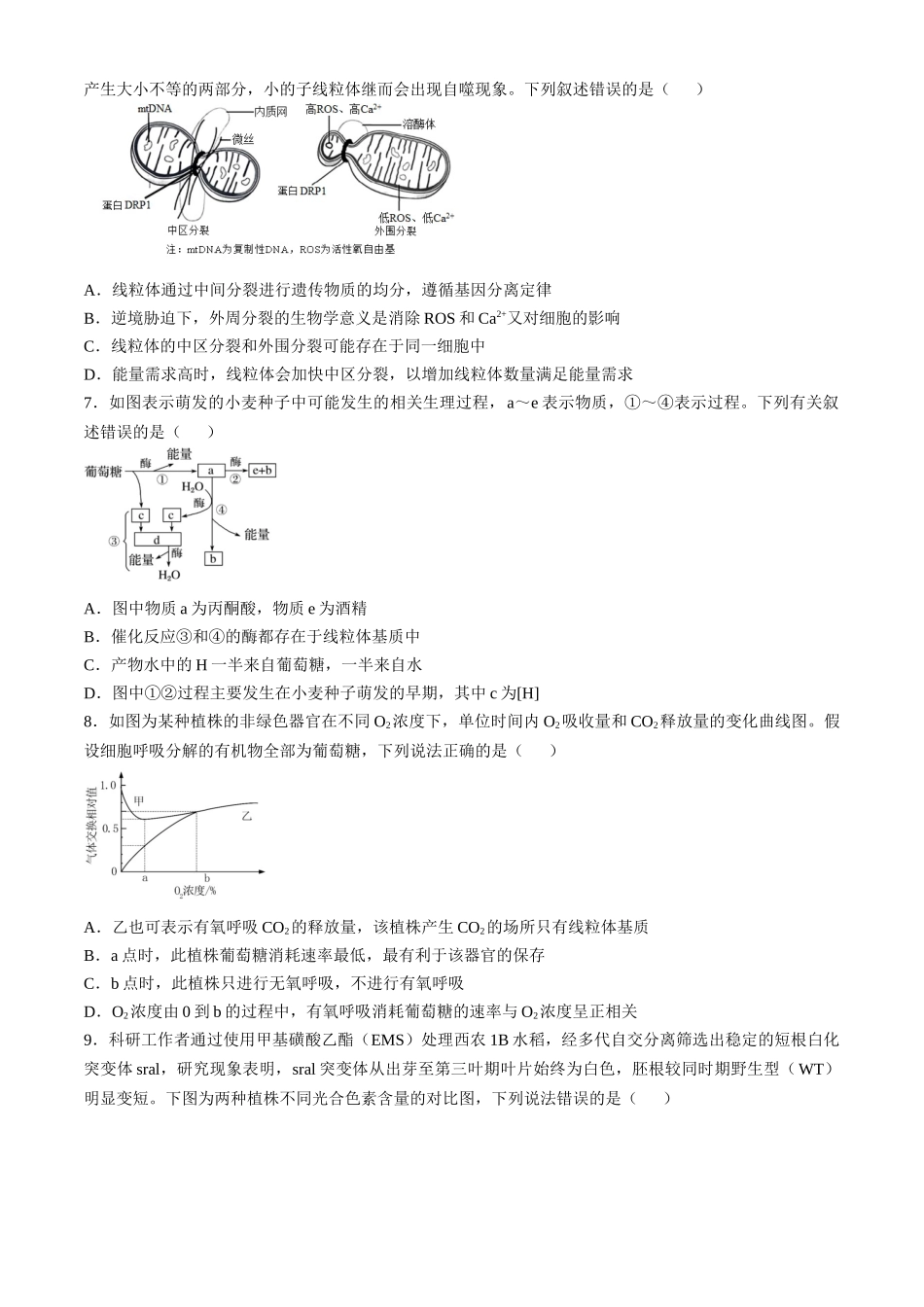 安徽省合肥市第一中学2024-2025学年高三上学期11月教学质量检测试题 生物含答案.docx_第2页