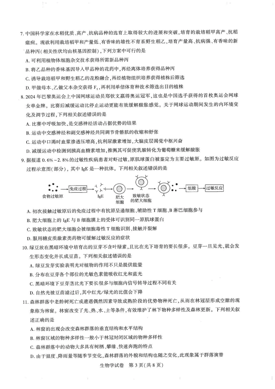 湖北省高中名校联盟2025届高三11月第二次联合测评（圆创联盟）生物试卷含答案.pdf_第3页