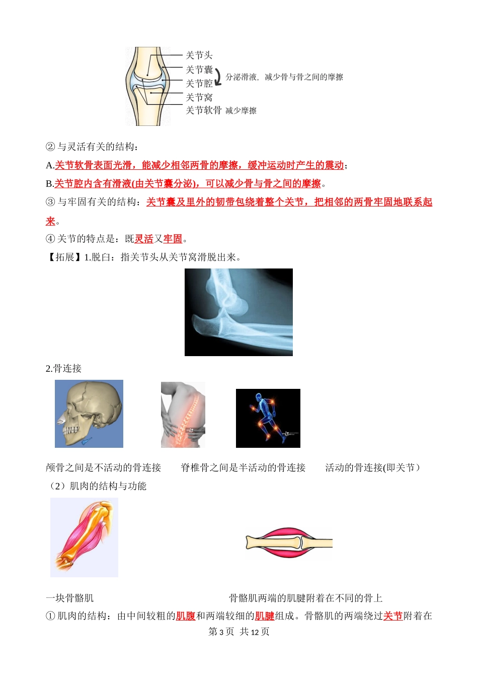 【人教】八上生物背诵-第五单元 第二、三章 动物的运动和行为、动物在生物圈中的作用（背诵版.docx_第3页