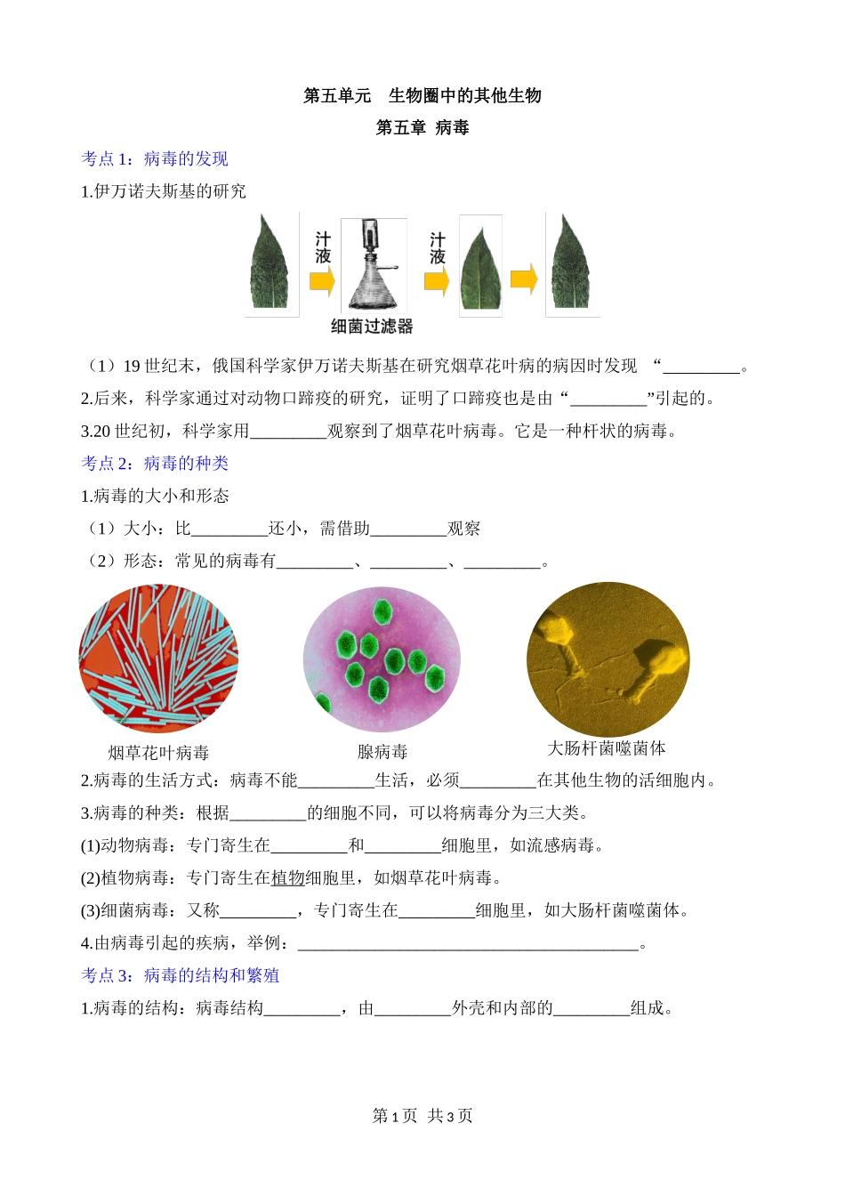 【人教】八上生物默写-第五单元 第五章 病毒.docx_第1页