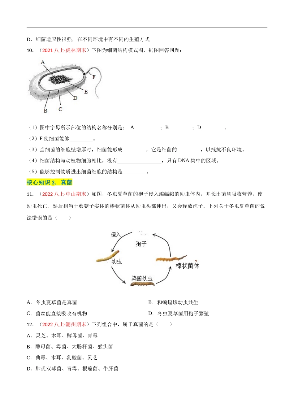 【人教】单元测试分层训练第四、五章 细菌、真菌和病毒（A卷知识通关练）（原卷版）.docx_第3页