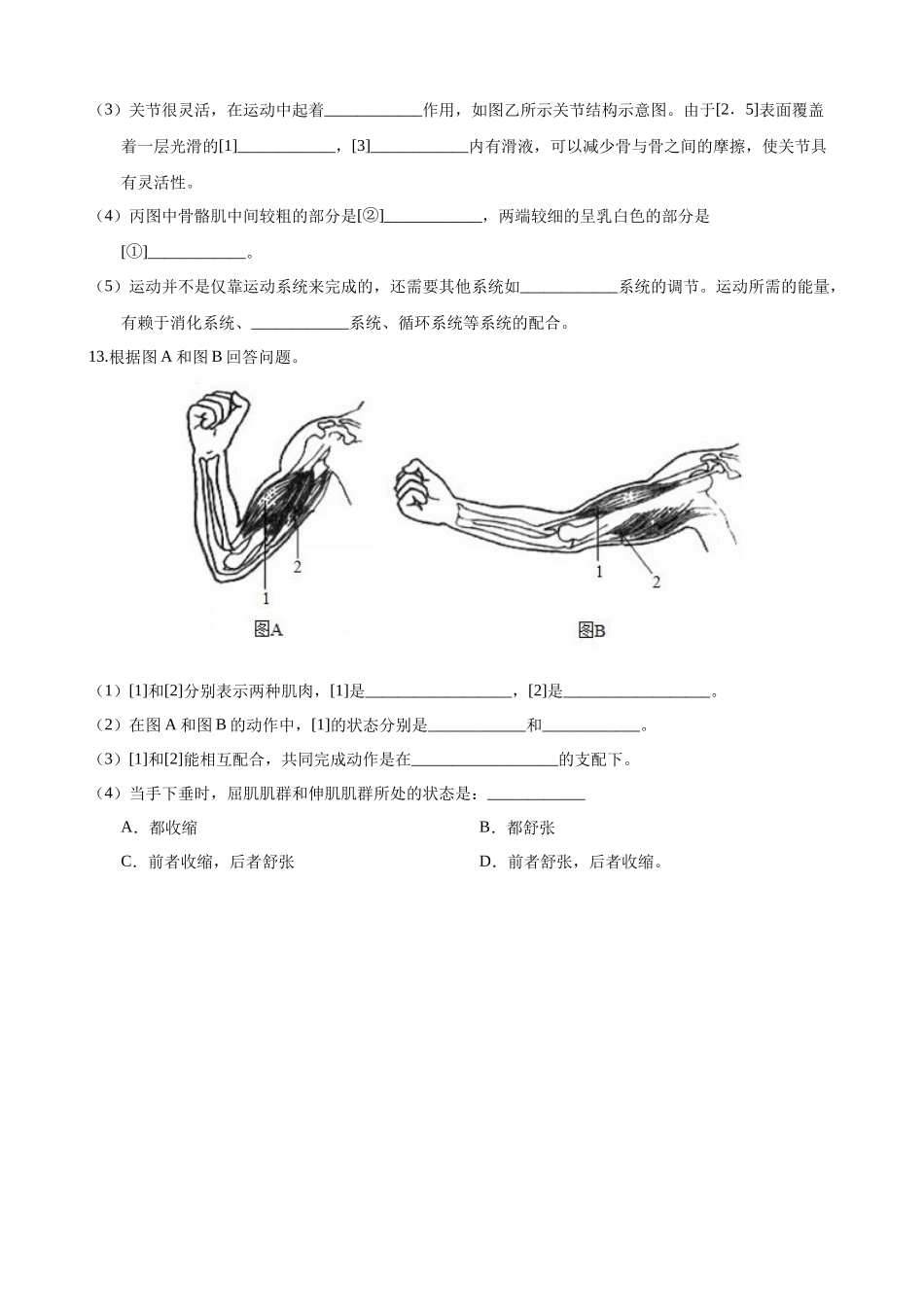 【苏科版】17.1 人体的运动 同步练习.docx_第3页
