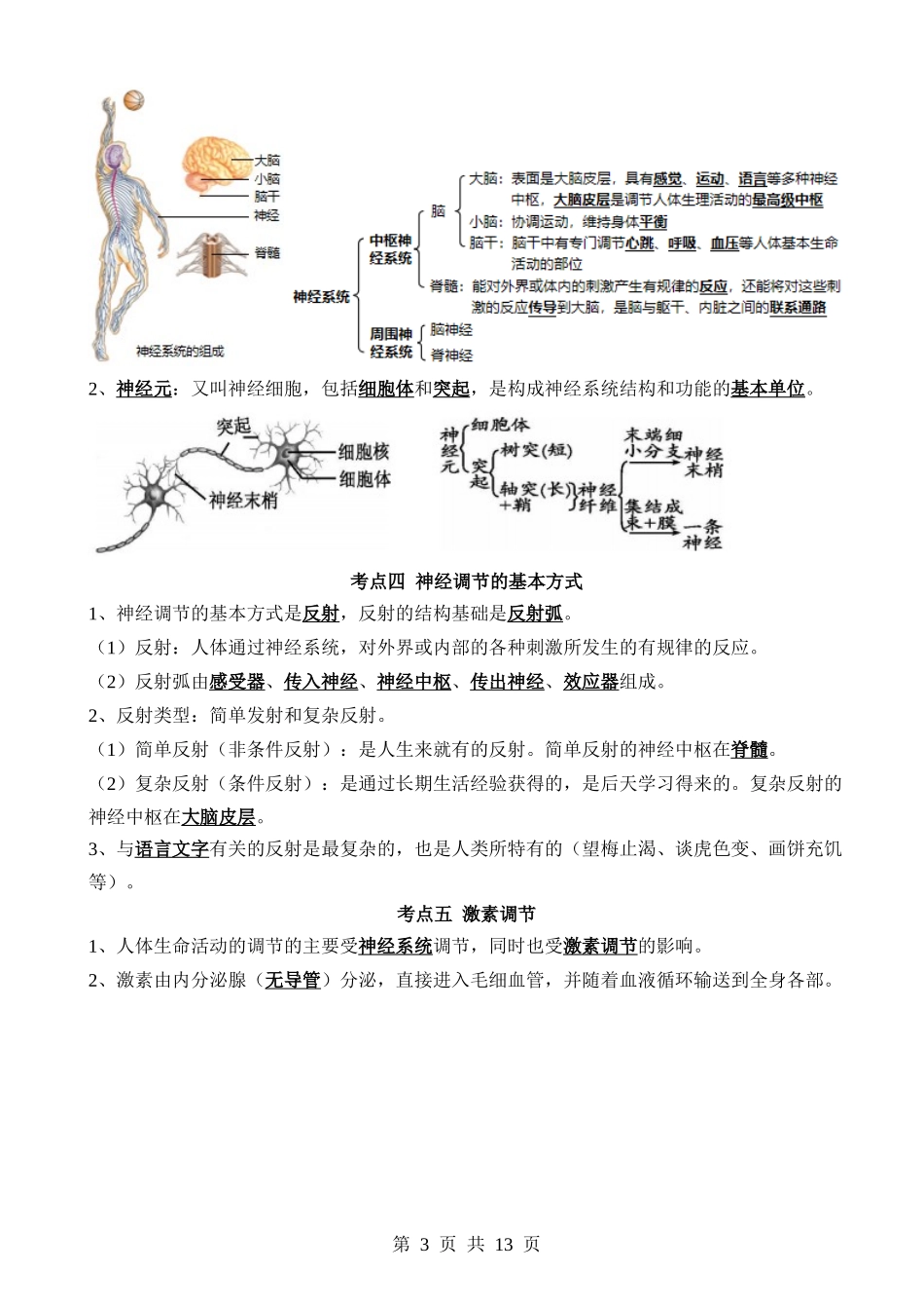 【中考生物】清单07 人体生命活动的调节（5大考点+6大高频命题点）.docx_第3页