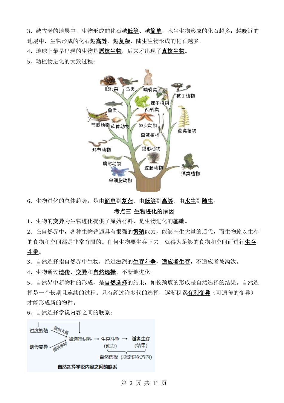 【中考生物】清单14 生命起源和生物进化（3大考点+5大高频命题点）.docx_第2页