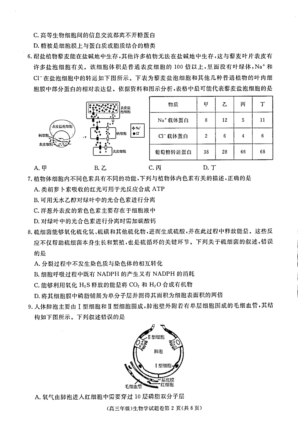 2025届江西省赣州市十八县(市、区)二十四校高三上学期期中考试生物试题含答案.pdf_第2页