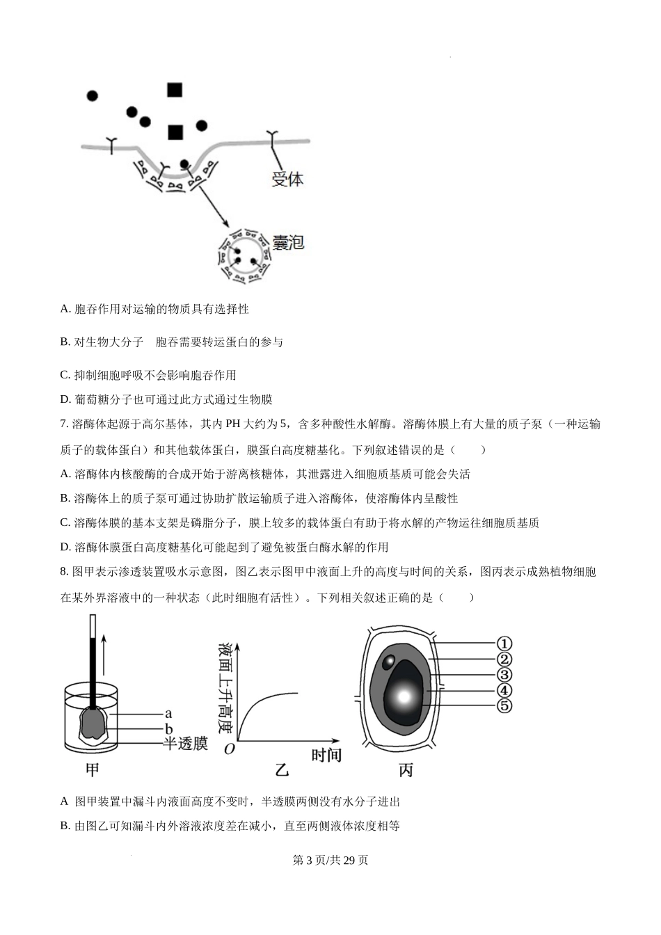 2025届银川一中高三第二次月考生物试卷含答案.docx_第3页