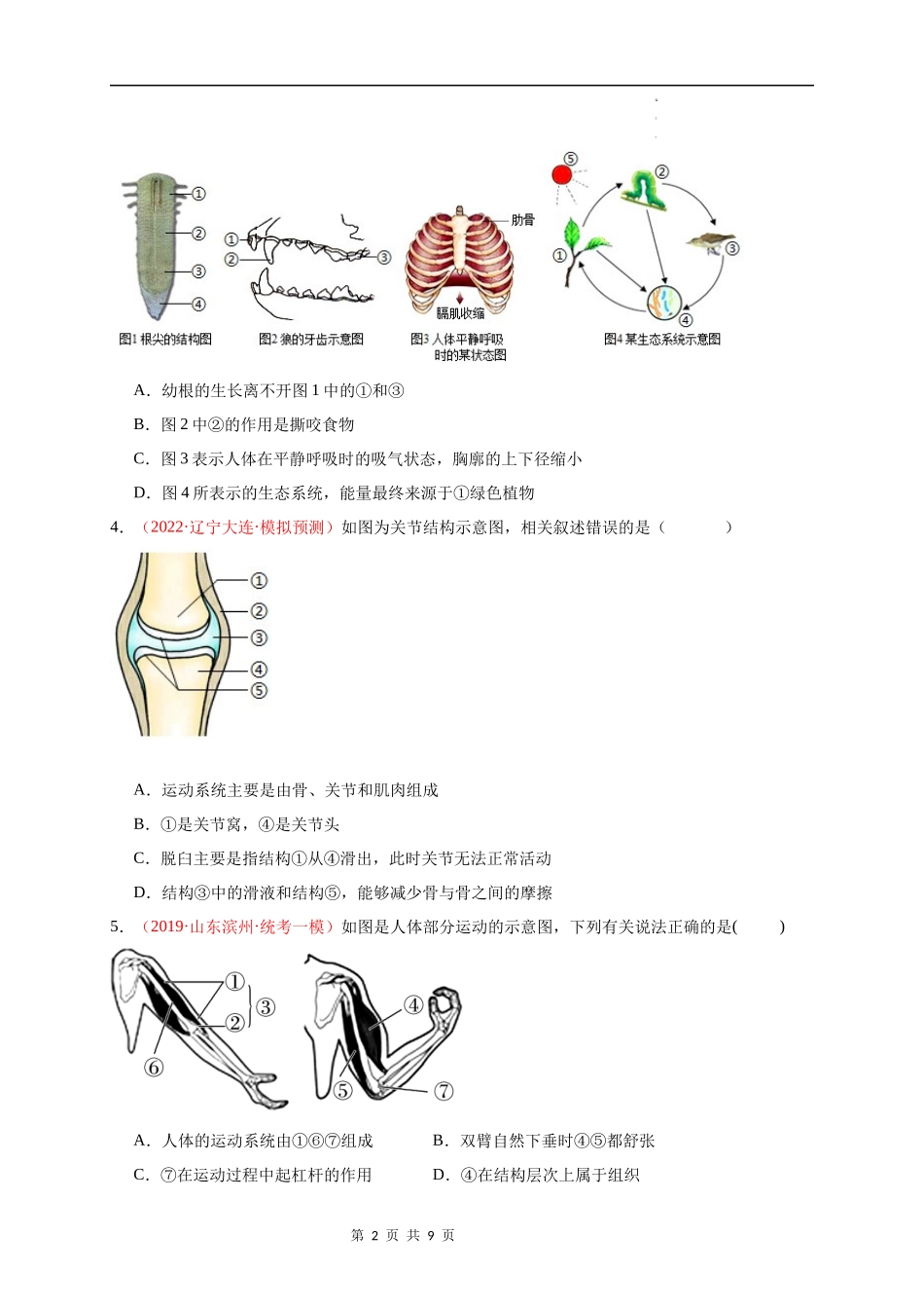 八年级上册识图题专练（原卷版）.docx_第2页