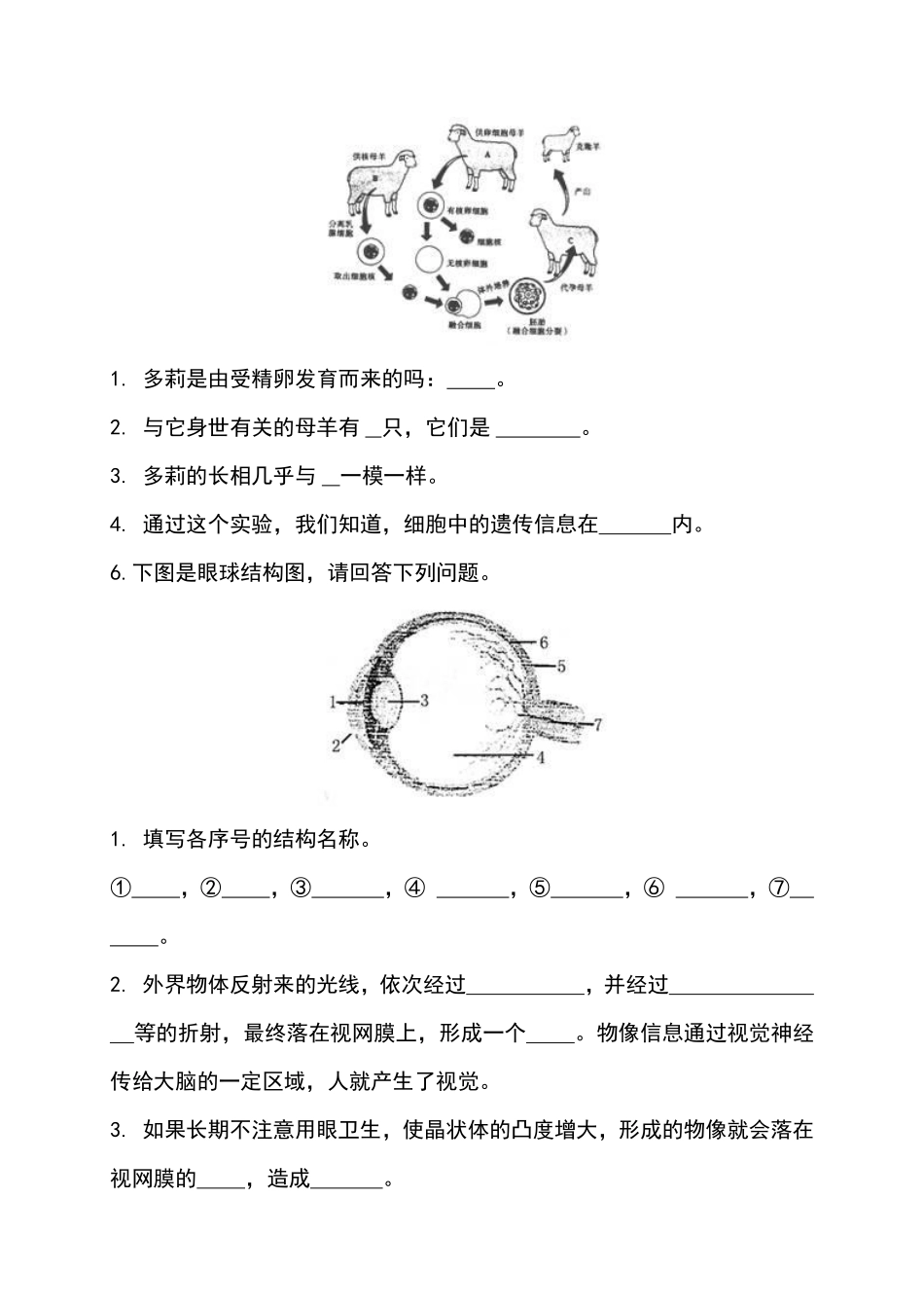 八年级生物会考识图填空题常考31道（原卷版）.pdf_第3页