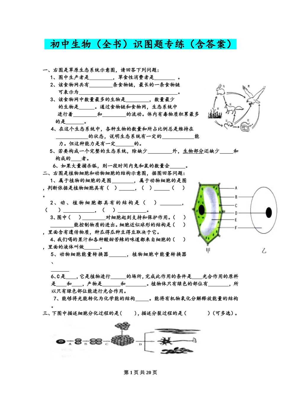 初中生物识图专题训练---全四册---有答案.doc_第1页