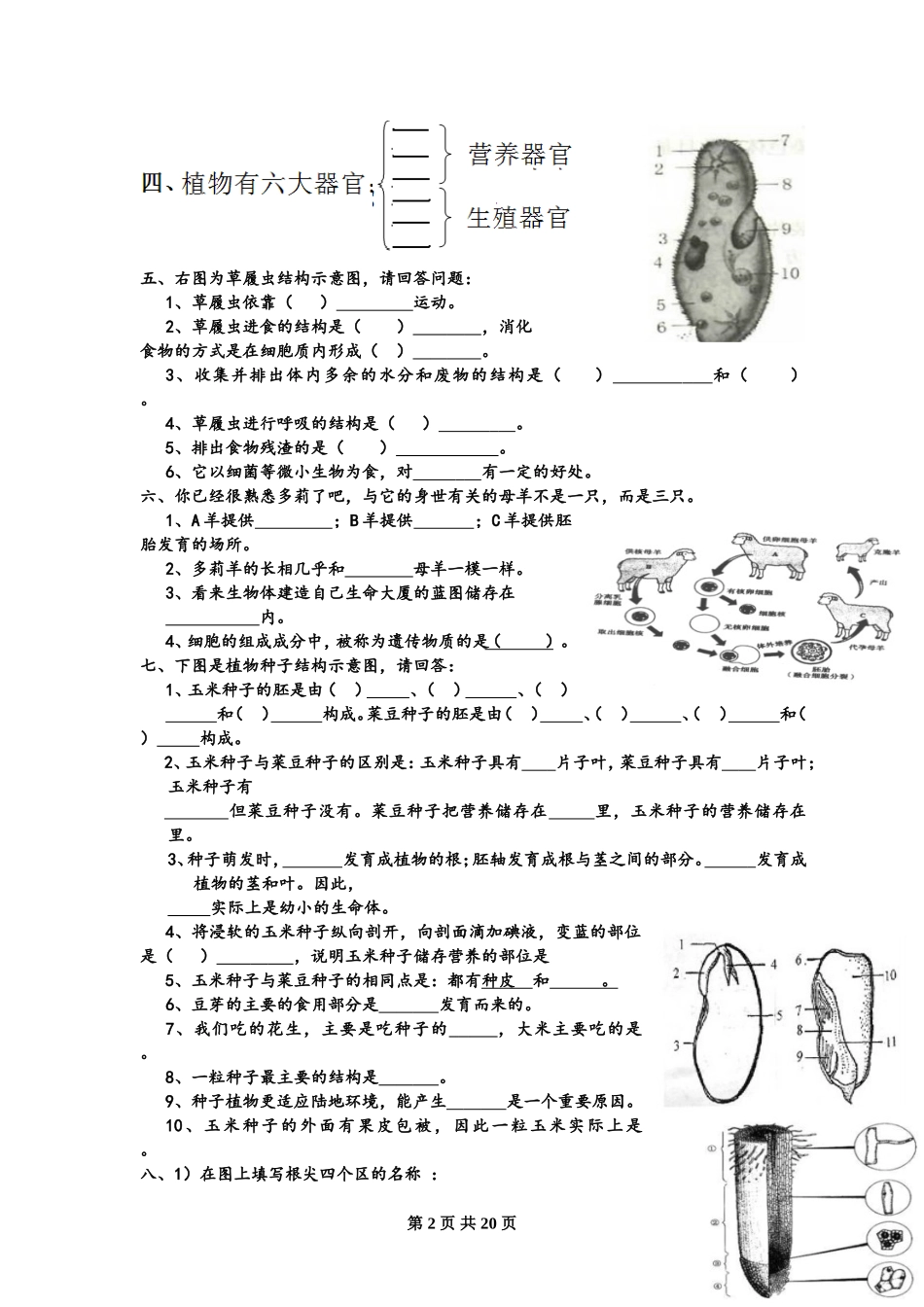 初中生物识图专题训练---全四册---有答案.doc_第2页